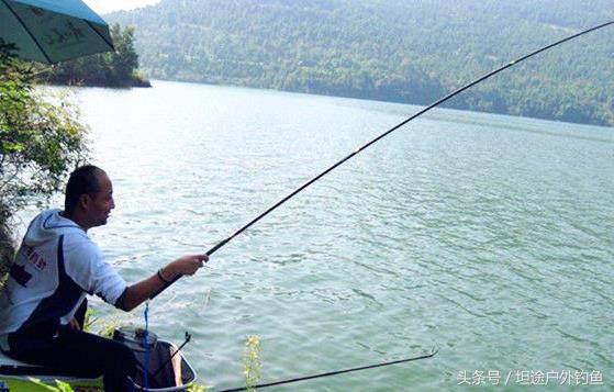 钓鱼遇到大货视频,钓鱼遇到大鱼如何钓