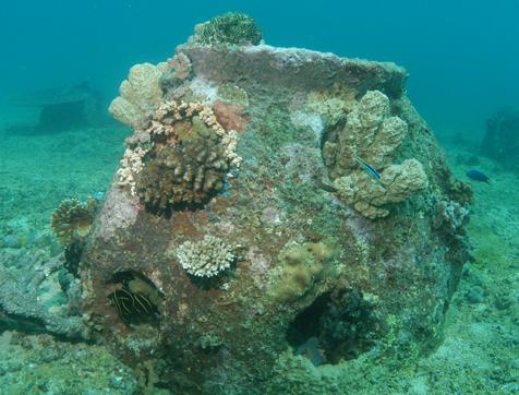 世界各种葬法,骨灰新式葬法