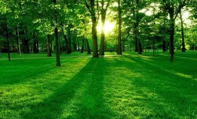 巴山蜀水包括哪些,巴山蜀水的特点