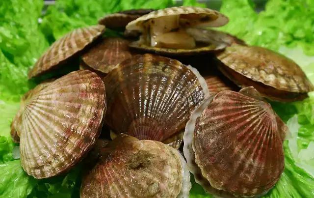 分得清才能拎得清,分得清