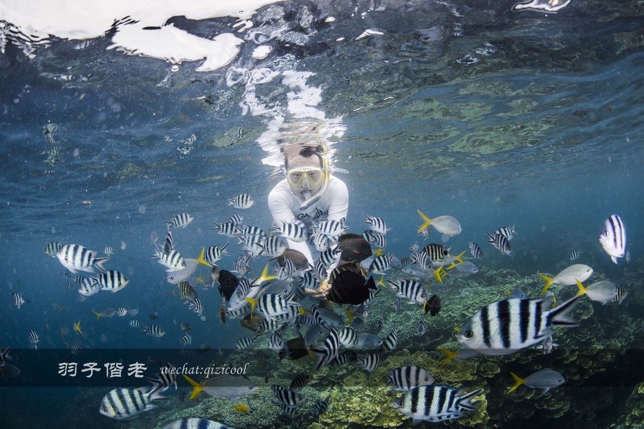 帕劳旅行真实感受,三次帕劳是一种什么体验
