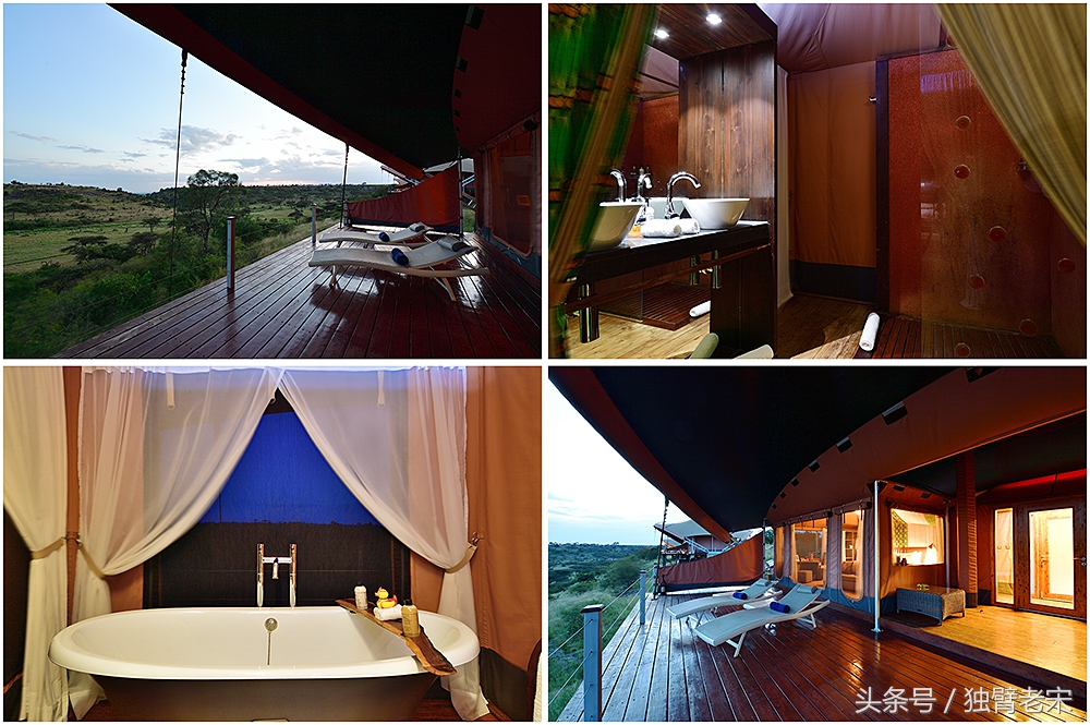 肯尼亚动物大迁徙旅游,肯尼亚迁徙之旅