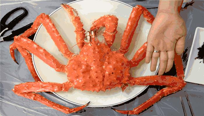 子胥湖欢乐嘉年华夜场电话,子胥湖欢乐嘉年华门票