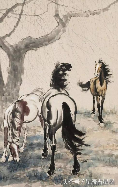 生肖马运势2021情感运势,生肖马运势2024年运势化解