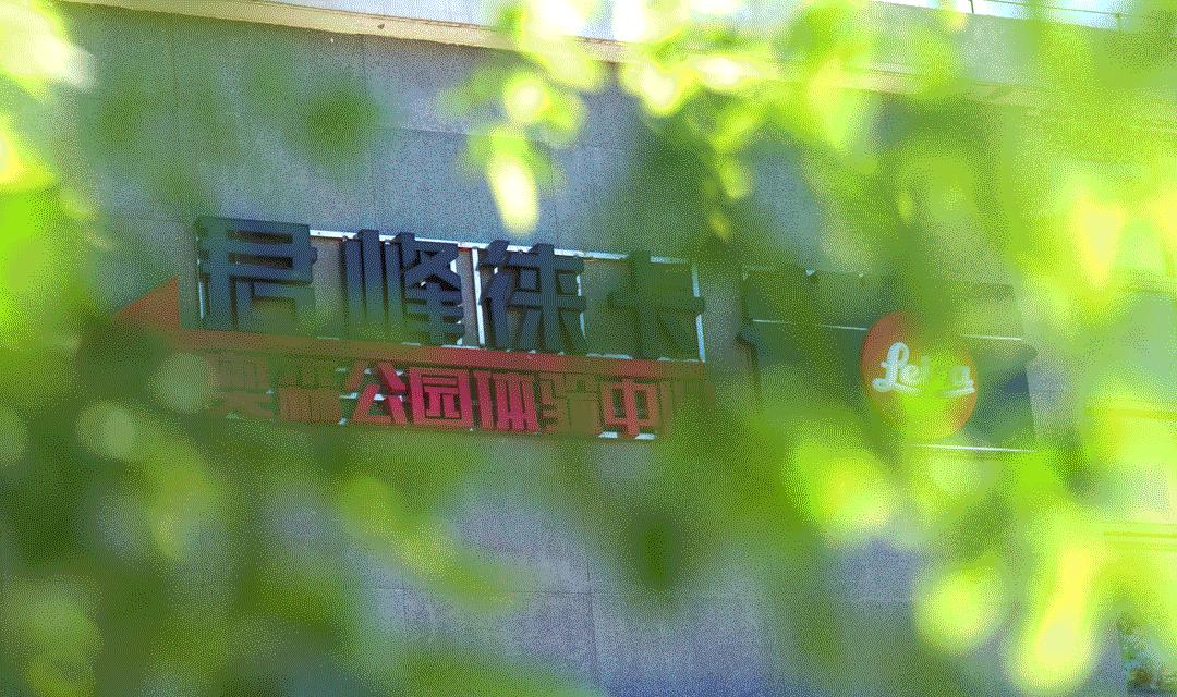 该怎么选择徕卡相机拍照,拍摄相机怎么选