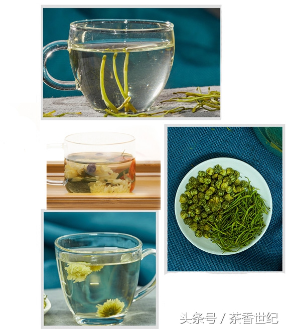 菊花和金银花哪个降火效果好,清热解毒降火金银花菊花茶