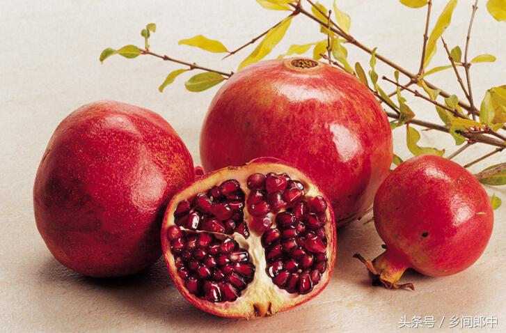 慢性扁桃体肿大的食疗方,扁桃体肿大的食疗方