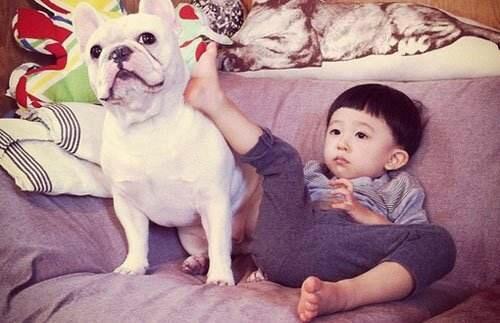 备孕可养狗狗吗,想备孕能养狗狗吗