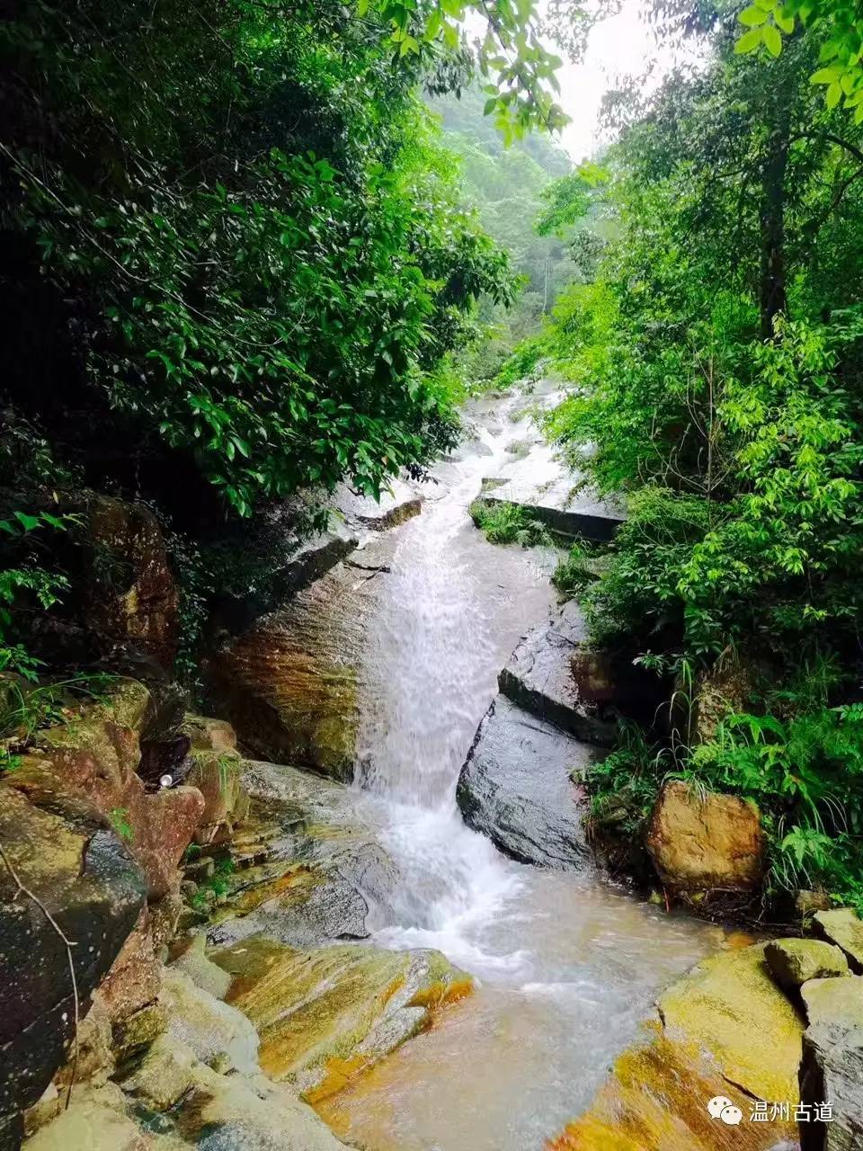 文成县珊溪水库地图,正宗文成珊溪水库有机鱼