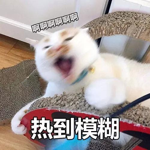 油皮用什么底妆比较好,油皮用什么类型的底妆产品