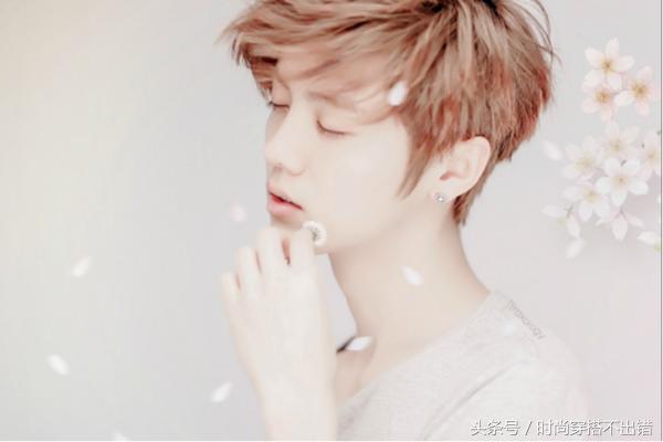 鹿晗出道以来所有成就,明星鹿晗如何火起来的