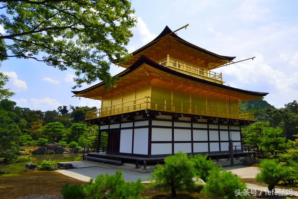 丽星邮轮日本游攻略视频,丽星邮轮厦门启程日本旅游