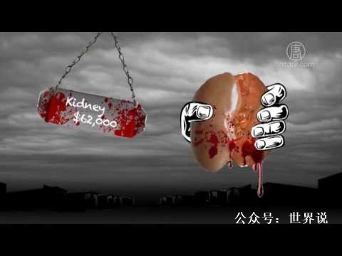 伊朗无业青年：我卖肾拿了8万块，终于可以买出租车工作了！