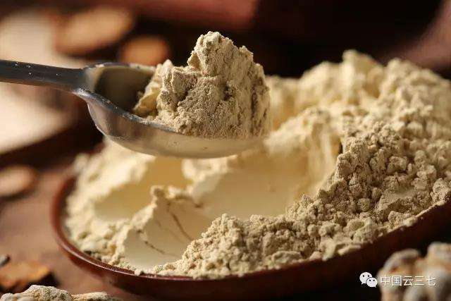 三七景天养护知识,三七虽好但这些禁忌一定要知道