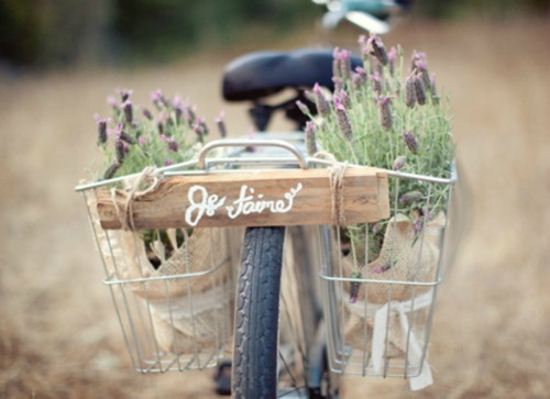 小学生好词好句积累摘抄图片,一些上面有优美句子的图片