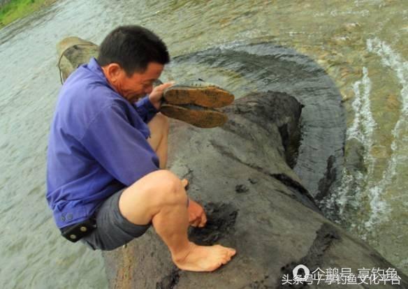 钓鱼发现不明阴沉木,夜钓发现乌木是真的吗