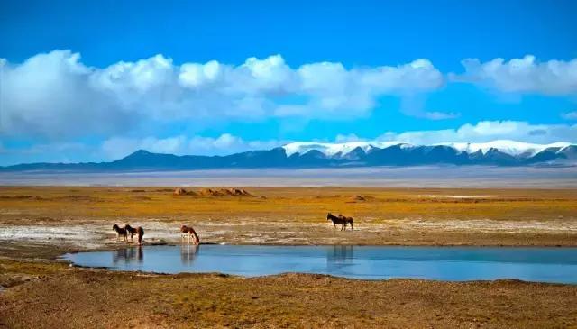 青海到苏州旅游攻略,苏州去青海最佳路线攻略