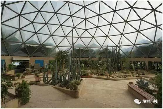 2019上海多肉展仙人球,2023泰国多肉展会直播