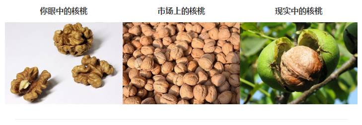 大山里的守望视频,深山里的守望