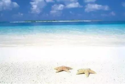 怎么退保最好的方法和注意事项,退保怎么才能全额退保