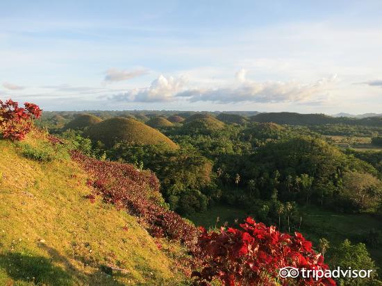 买魔杖、骑扫帚、喝黄油啤酒，去这些14个地方做巫师吧！