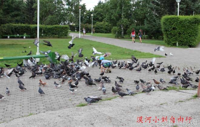 黑河俄罗斯七日游,漠河去俄罗斯两日游旅行团