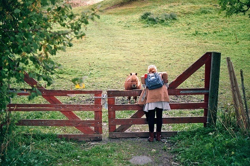 一些唯美的图片,摘抄图片简单又漂亮