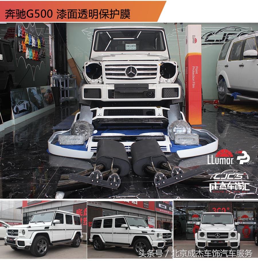 关于龙的知识简短,关于龙的科普小知识