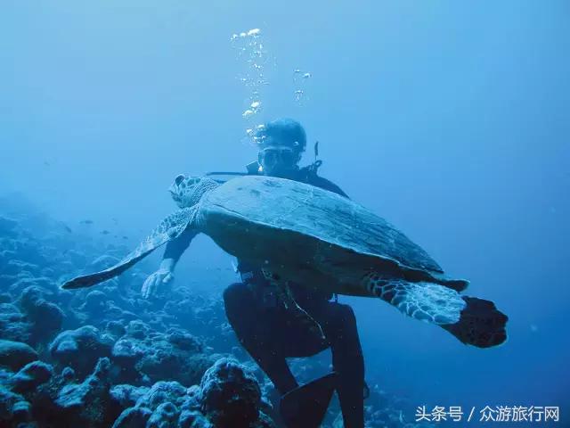 马尔代夫grandpark沙屋水屋,马尔代夫constance酒店