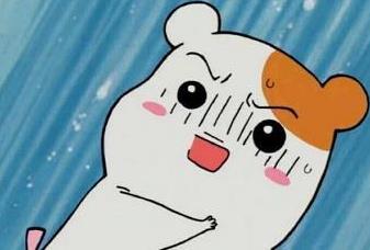 不敢相信！仙女们竟然还不知道这些时髦好看又便宜的小众品牌，再不知道就亏了！