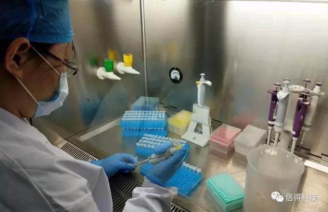 排排坐公开课完整版,排排坐公开课