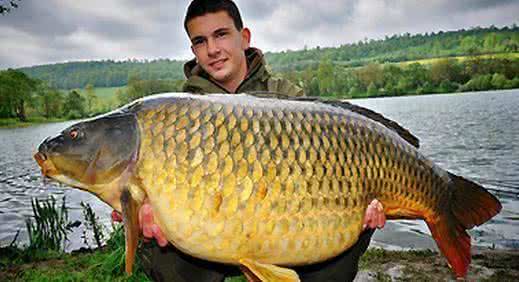 炒麻辣鱼片的家常做法,青椒炒鱼片的做法大全