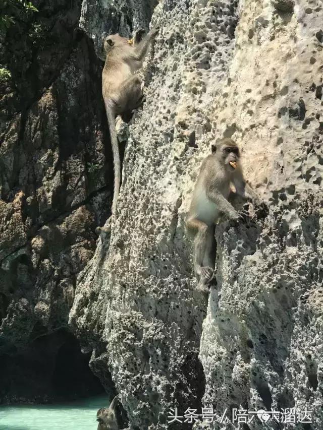普吉暑假亲子游,这个暑假去旅游怎么样