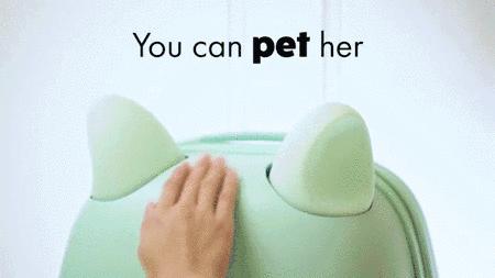 平价行李箱推荐测评,高级颜值平价行李箱推荐