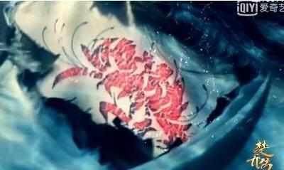 楚乔传看完,楚乔传大结局为什么没有后续