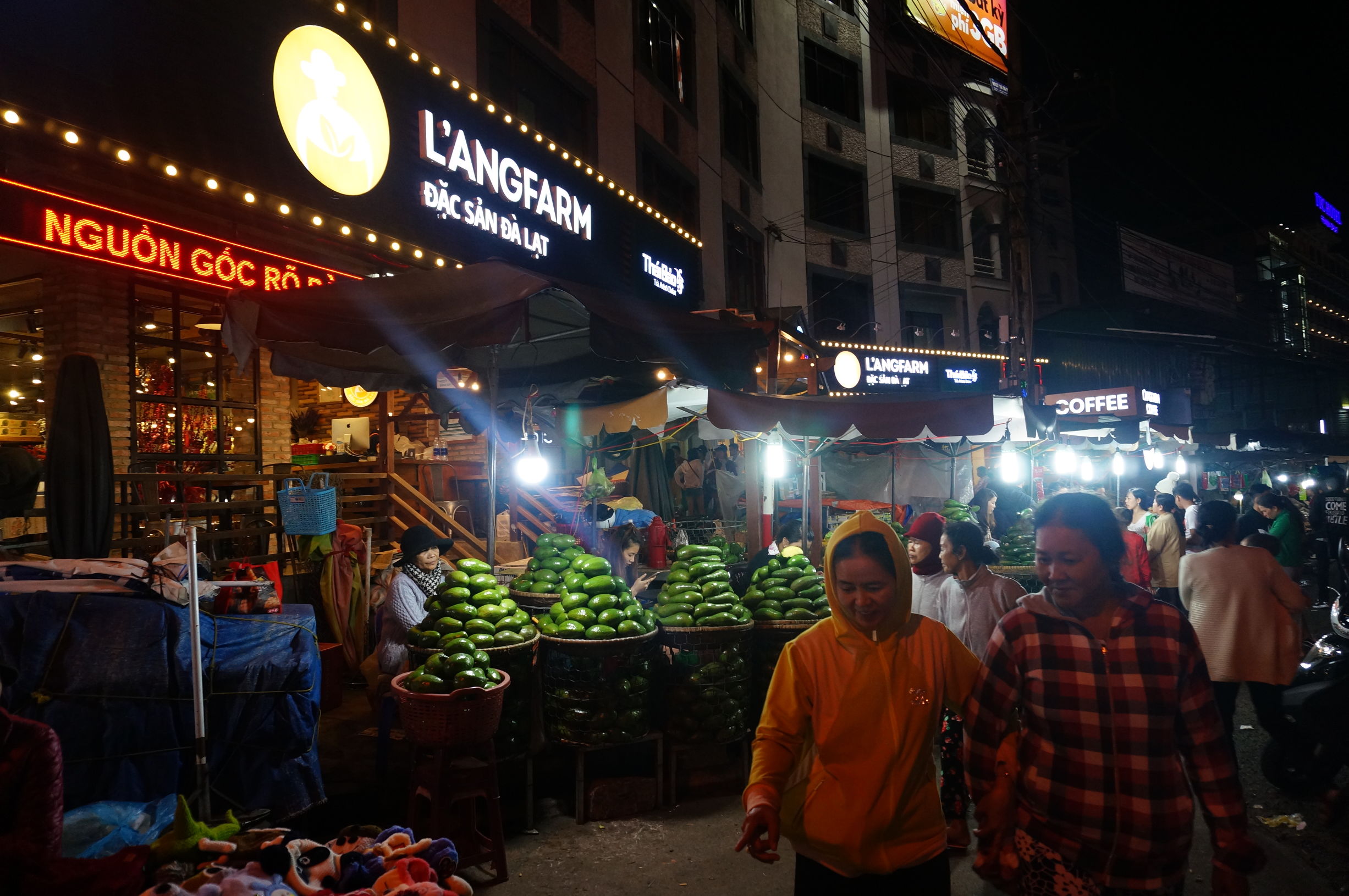 我的越南旅行记,我的芽庄之行全集