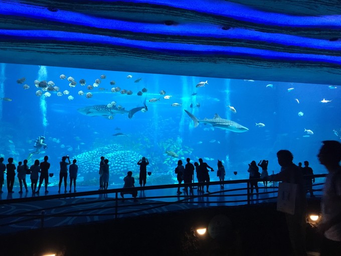 珠海长隆海洋王国游记作文,珠海长隆海洋王国一日游攻略