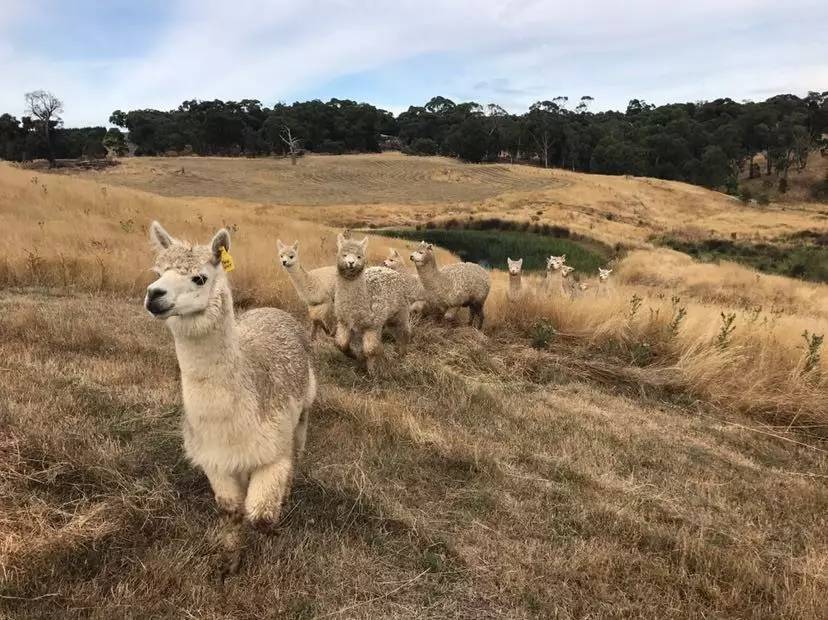 这个国家最吸引人的不是风景和美食，而是买买买！