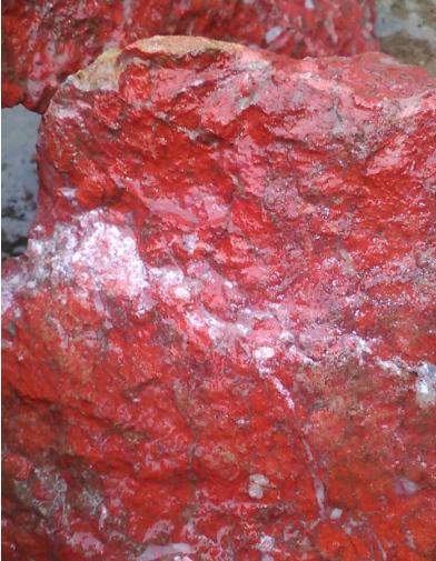 略阳奇石价格,真正的红梅奇石图片