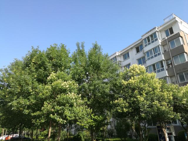 潍坊市圣基福安家园电梯,潍坊福安家园圣基铭座六楼价格