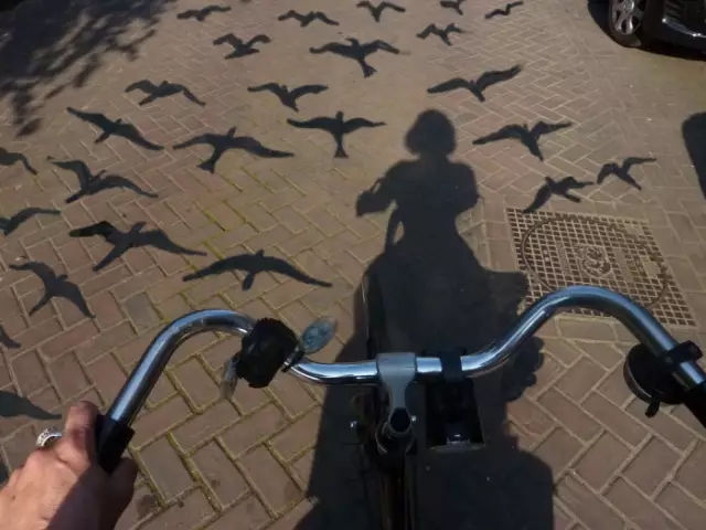 找男友的800条标准,找男友的标准有哪些