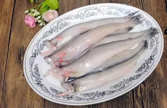 《一啸渔乐》常见的海鱼你认识多少？