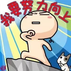 明星追星也疯狂,男明星追星追baby