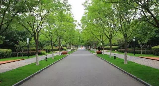 西安夜跑,西安解放路夜跑