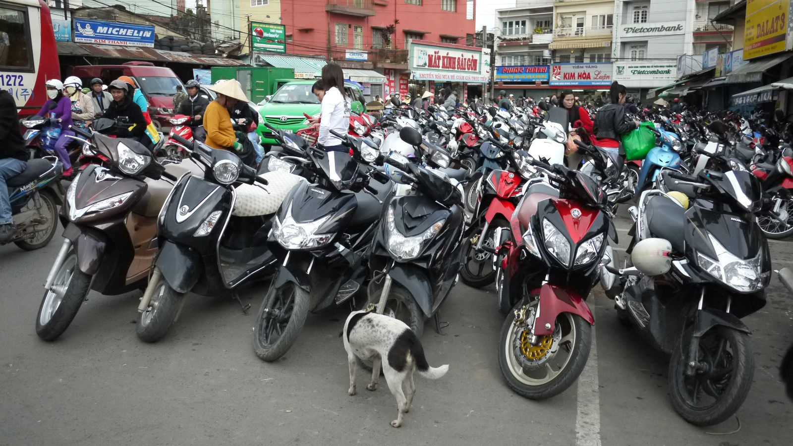 越南有哪些有趣的事,你不知道的越南趣事