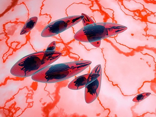 宠物狗常见疾病与防治方法,小狗常见的病害