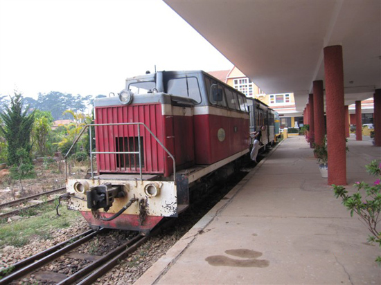 越南有哪些有趣的事,你不知道的越南趣事