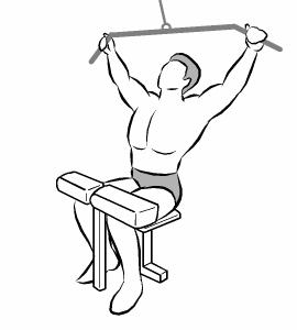 背部训练一周几次,女士背部肌训练计划