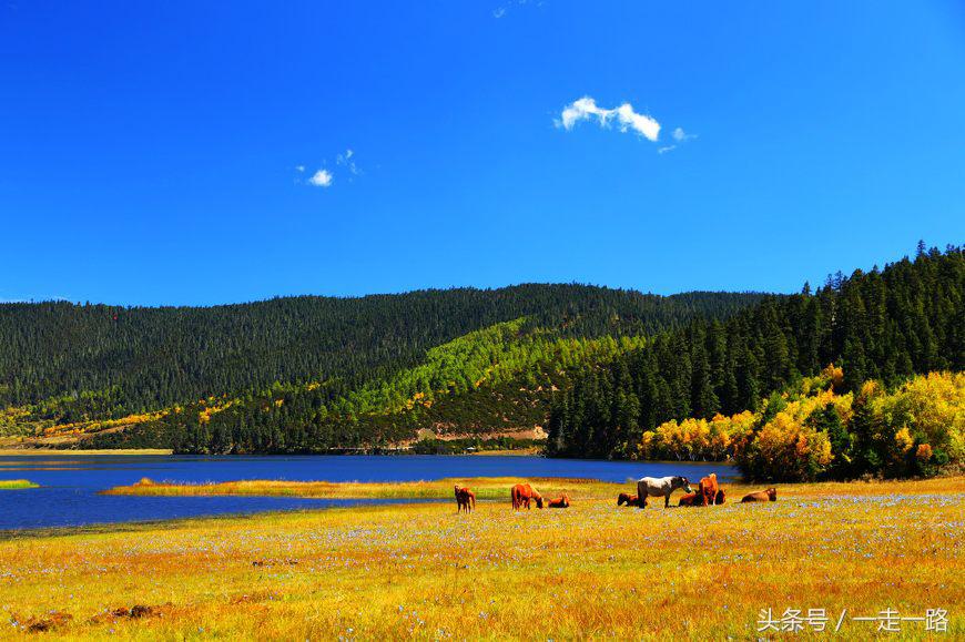 云贵川自驾游线路攻略,云贵川自驾游详细路线