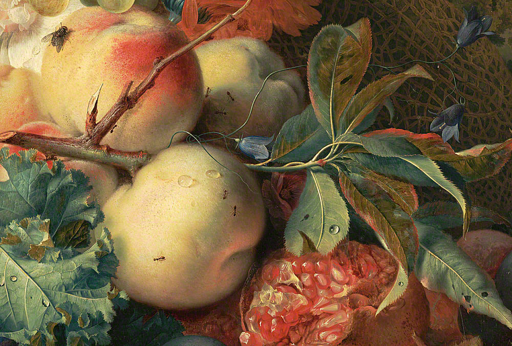 艺术家画的“桃子”很美：有两瓣圆鼓鼓蜜桃的隐喻